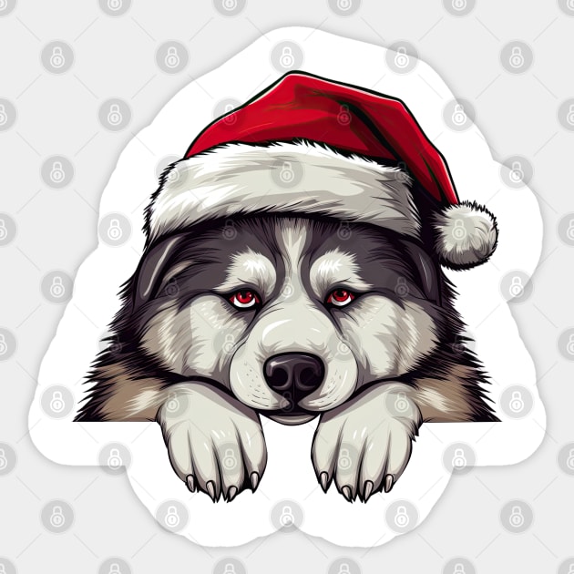 Christmas Peeking Alaskan Malamute Dog Sticker by Chromatic Fusion Studio